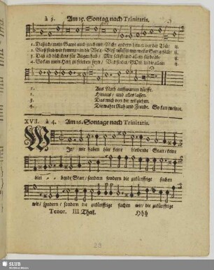 XVII. Am 16. Sontage nach Trinitatis: Wir haben hier keine bleibende Statt