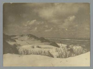 Schöne Dünen auf der Insel Wangerooge