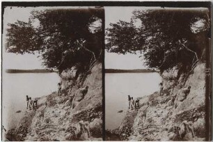 Uferbild in Pedro Affonso