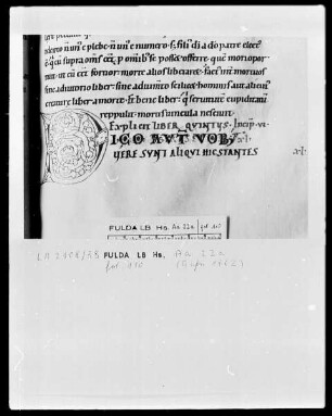 Ambrosius, Commentarius in Lucam — Initiale D (ico autem vobis), Folio 110 recto