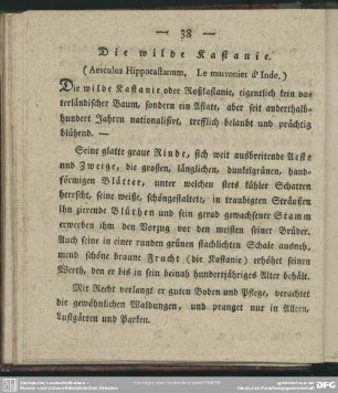 Die wilde Kastanie