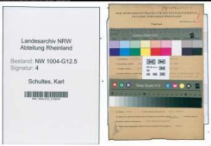 Entnazifizierung Karl Schultes , geb. 04.09.1915 (Projektinspektor)