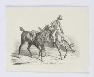 Mann auf einem Pferd, ein weiteres Pferd an der Leine haltend