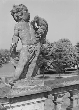 Moritzburg. Sandsteinfigur auf der Schloßterrasse : Moritzburg, Jagdschloss. Sandsteinfigur Putto mit Falke (um 1725) auf der Balustrade der Terrasse