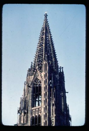 Münsterturm Freiburg