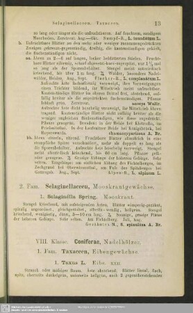 VIII. Coniferae, Nadelhölzer