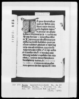 Missale — Initiale T (e igitur), Folio 87recto