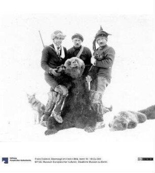 Bärenjagd im Kreis Kittilä
