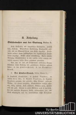 II. Abtheilung. Obststräucher aus der Gattung Rubus L.