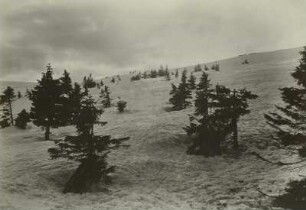 Riesengebirge. Föhnstimmung am Fuchsberg (1363 m)
