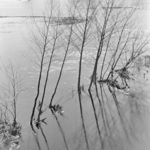 Spreewald um 1940. Überflutete Wiesen und Felder. : Błóta wokoło 1940. Přepławjene łuki a pola.
