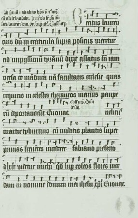 Marianische Antiphon "Ecce tu pulchra es anima mea ..."