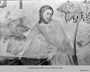Alttestamentliche Szenen : Noahs Trunkenheit