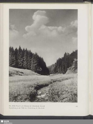Das "Kalte Wasser", der Oberlauf der Schmalkalde oberhalb Pappenheims, in der Nähe der Einmündung des Ickerbachs