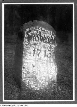Freiberg (Sachsen), Hospitalwald, Rainstein von 1713 mit der Inschrift: Freibergsdorf 1713