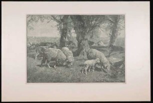 Holzschnitt einer Landschaftsdarstellung mit Schafen
