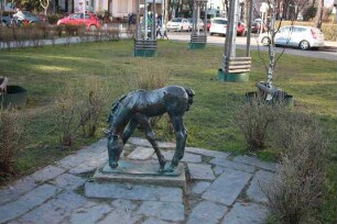 Grasendes Fohlen