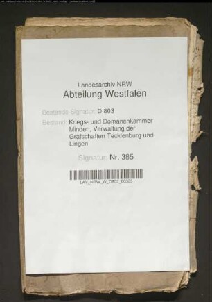 Nachgesuchter Mühlenbau durch den Tecklenburgischen Eigenbehörigen Wiedebusch
