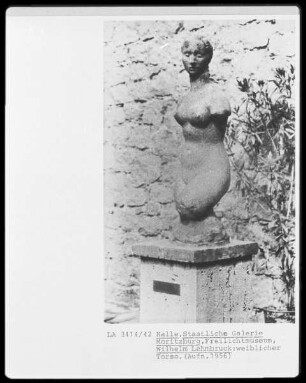 Weiblicher Torso