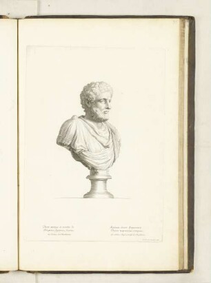 Buste antique de marbre, de l'Empereur Septimius feuerus. au Palais des Thuilleries.