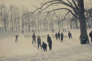 Salzteich: Kurpark: auf Eisfläche Schlittschuhläufer: rechts am Ufer Baum: am gegenüberliegenden Ufer Wanderweg und Bäume: dahinter Wohnhäuser: Winter