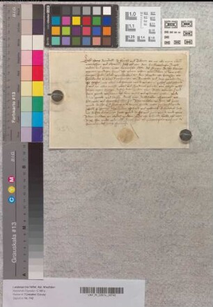 Lehnsrevers des Hans Derndal über die vom Abt Franz von Corvey empfangenen Lehngüter zu Eversen, Natzungen etc.