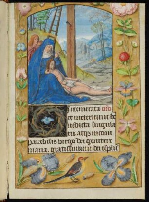 Miniatur (Beweinung Christi) mit Streumusterbordüre