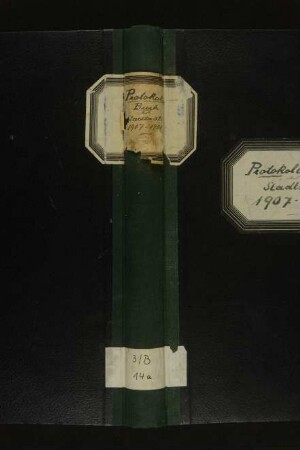 "Protokollbuch des Stadtrates" (Außentitel)