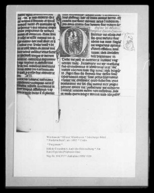 Lüneburger Bibel — Initiale O (sculetur), darin die Heimsuchung