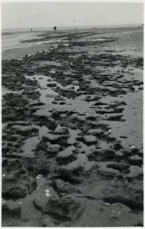 Fossilschlick, Watt