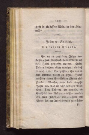 Zehntes Kapitel. Die fernen Freunde.
