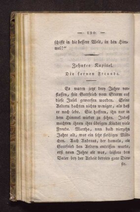 Zehntes Kapitel. Die fernen Freunde.