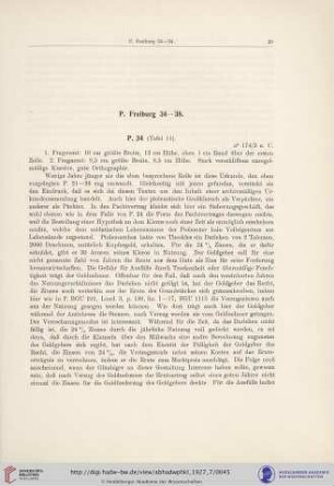 P. Freiburg 34-38