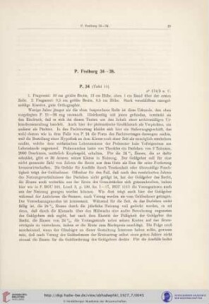 P. Freiburg 34-38