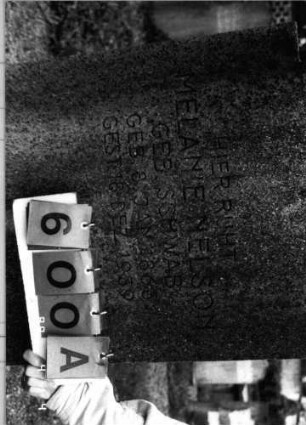 Grabstein 600 (Index: 100088798) Material: gelber Sandstein (?) Maße HxBxT: 142x60x19 cm Symbolik: Davidstern: Grabstein 600A