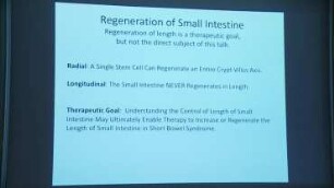Control of length of epithelial tubes in mammals
