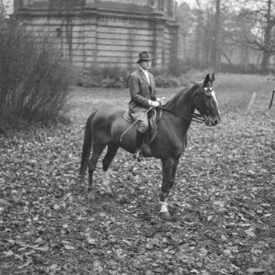 Mann auf einem Pferd