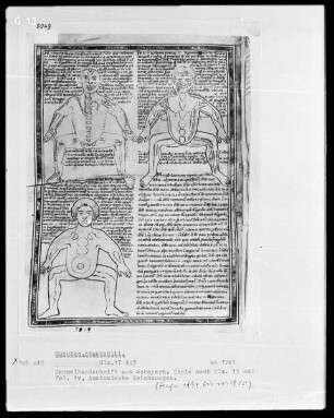 Sammelhandschrift (teilweise Kopie eines Glossars aus Prüfening) — Drei anatomische Zeichnungen