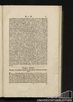 Tabula XXVI. Bericht von zweyen Kuppeln oder Dach-Laternen mit Fenstern.