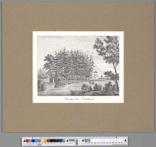 Poniatowski's Denkmal