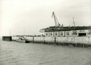 Columbuskaje, 1950-1952