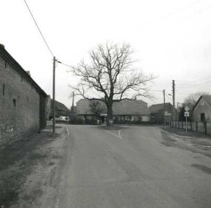 Bolschwitz. Dorfstraße mit Gasthaus "Zum Birnbaum" (wohl 1701/1800)