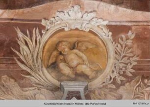 Kartuschen mit Putti : Putto und Delphine
