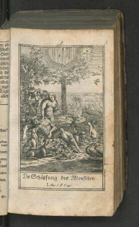 Die Schöpfung des Menschen.
