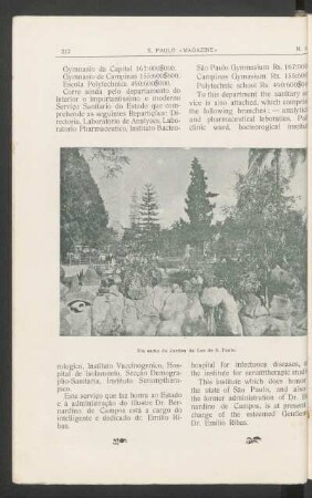 [Fotogravura do] Um canto do Jardim da Luz de S. Paulo.