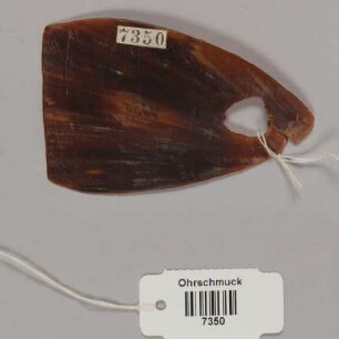 Ohrschmuck