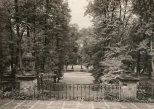 Neschwitz, Blick von der Terrasse des Alten Schlosses in den Park und auf das Skulpturenpaar Atalante und Meleager