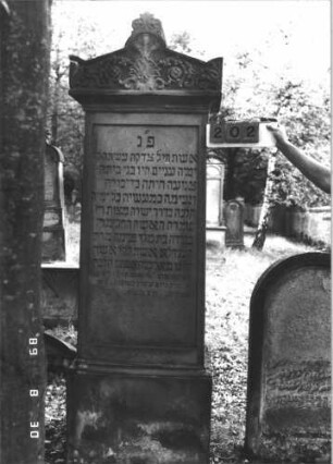 Grabstein 202 (Index: 99609838) Material: Sandstein Zustand: leicht verwittert Maße HxBxT: 240x64x35 cm Beschreibung: Stele, Abdeckplatte, Giebelaufsatz mit Mittel- und Seitenakroteren, Palmettenaufsatz, Schriftfeld eingetieft, Sockel Symbolik: Mohnkapseln, florale Elemente: Grabstein 202