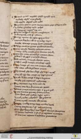 Merkverse zur lateinischen Grammatik und Metrik