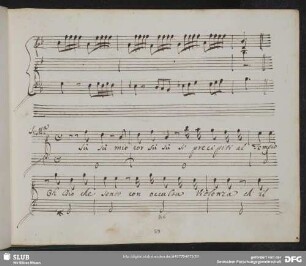 Recitativo: Su mio cor su si precipiti